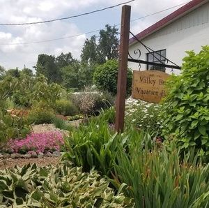 Meet your Posher, Nayyer